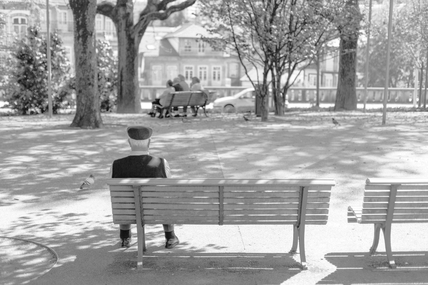 An older man sitting alone on a park bench