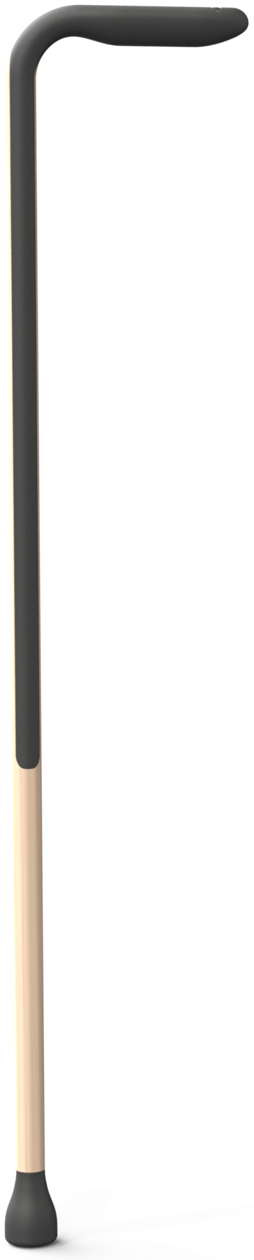 Cane render, front
