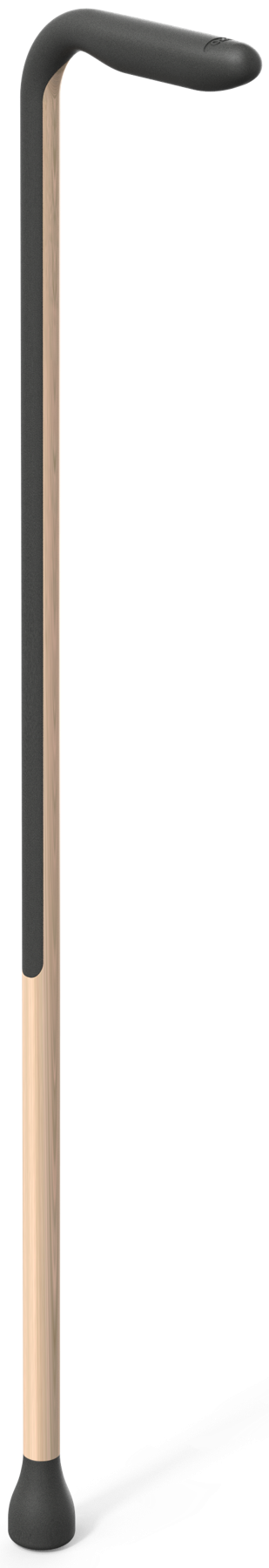 Cane render, three-quarter